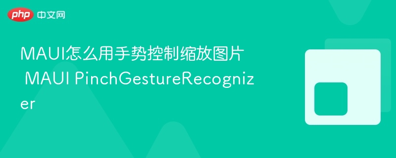 MAUI怎么用手势控制缩放图片 MAUI PinchGestureRecognizer