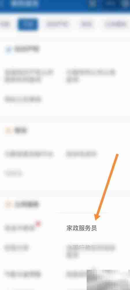 支付宝扫码查家政服务