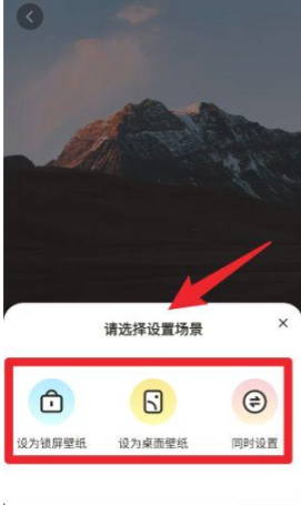 拇指壁纸app壁纸使用方法