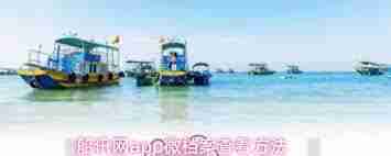 船讯网app如何查看微档案