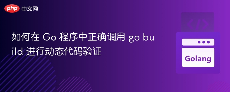 Go 程序如何正确使用 go build 验证代码