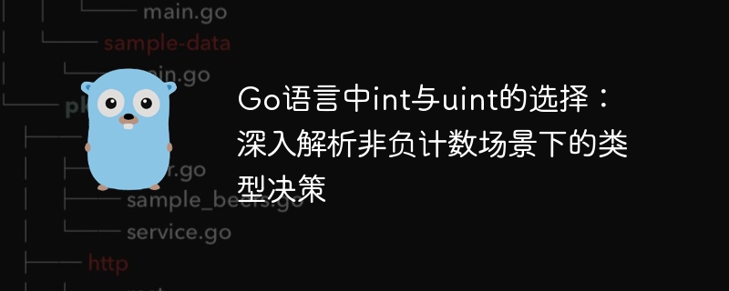 Go语言中int与uint选择指南