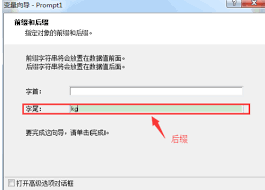 NiceLabel怎样给变量后缀