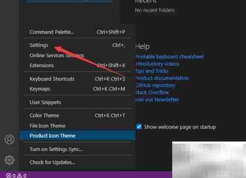 关闭VS Code编码透镜方法
