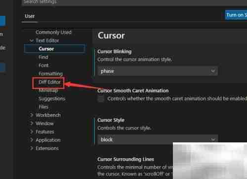 关闭VS Code编码透镜方法