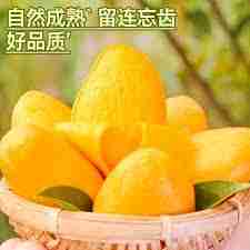 芒果tv会员如何共享