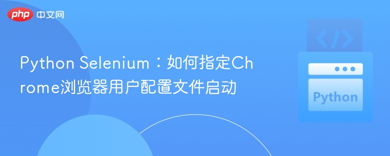 Python Selenium指定Chrome用户配置启动方法