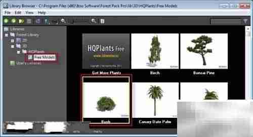 Forest Pack Pro快速入门