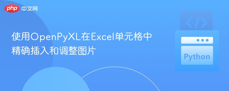 用OpenPyXL精准插入调整Excel图片
