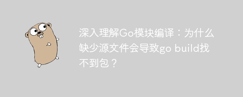 Go模块编译问题：缺少源文件为何导致包找不到