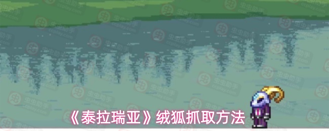 《泰拉瑞亚》绒狐抓取方法