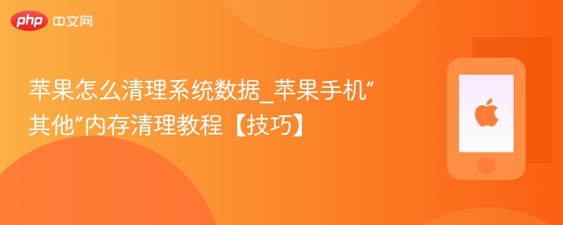 苹果怎么清理系统数据_苹果手机“其他”内存清理教程【技巧】