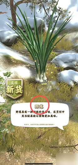 夺笋高手如何获得野葱 夺笋高手在山上采摘野葱方法
