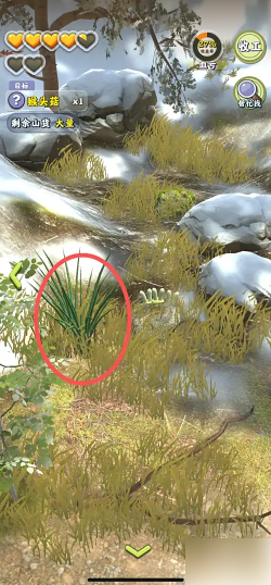 夺笋高手如何获得野葱 夺笋高手在山上采摘野葱方法