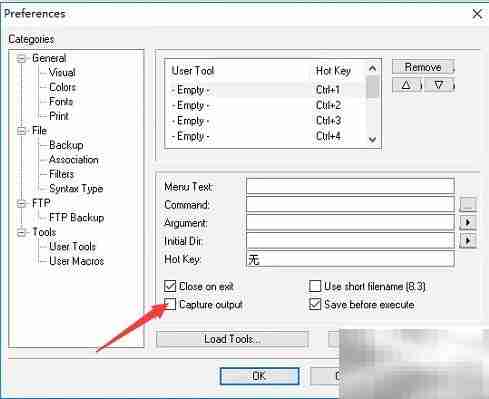 Crimson Editor输出捕获设置