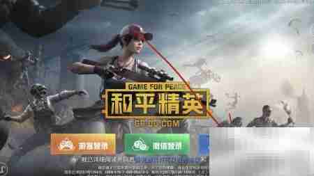 和平精英美化包购买指南