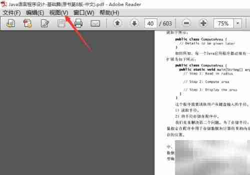Adobe Reader打开附件栏方法