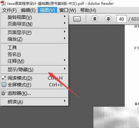 Adobe Reader打开附件栏方法