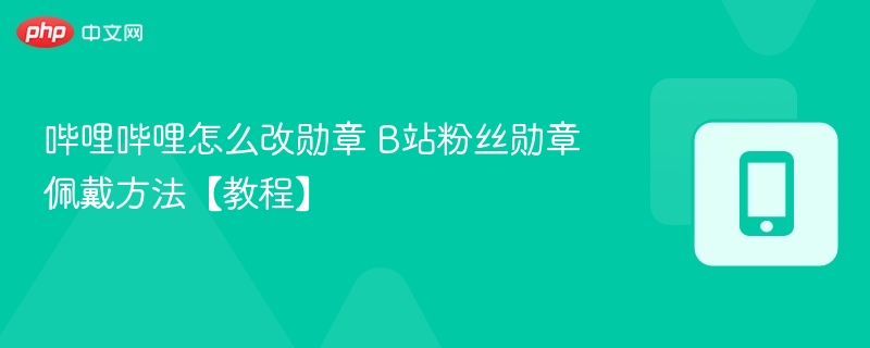 哔哩哔哩怎么改勋章 B站粉丝勋章佩戴方法【教程】
