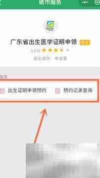 微信申领出生证明指南