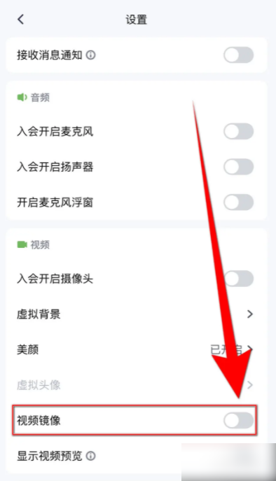 腾讯视频会议如何设置镜像 怎么设置腾讯会议视频镜像启用
