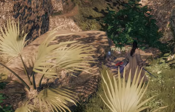 《下一站江湖2》白霜茗角色介绍