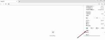 谷歌浏览器如何设置每次打开都是新窗口