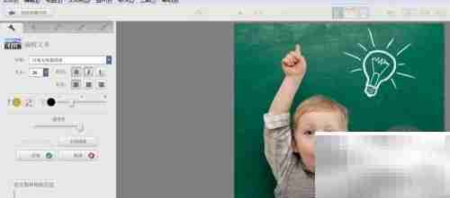 Picasa图片加文字教程