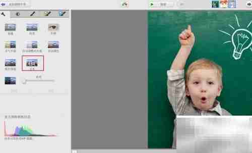 Picasa图片加文字教程