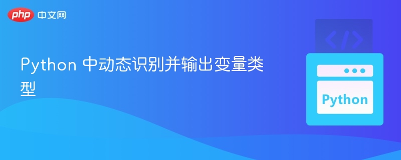 Python 中动态识别并输出变量类型
