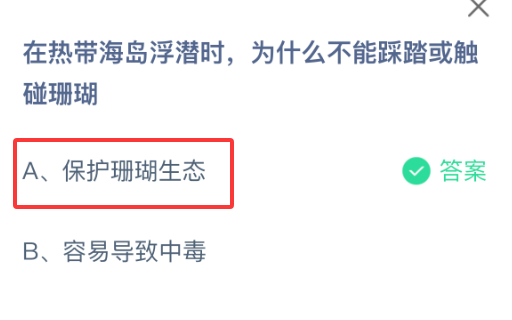 在热带海岛浮潜时，为什么不能踩踏或触碰珊瑚