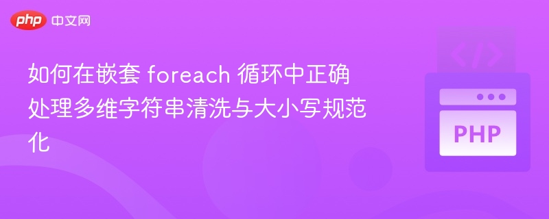 嵌套循环中多维字符串清洗与大小写处理技巧