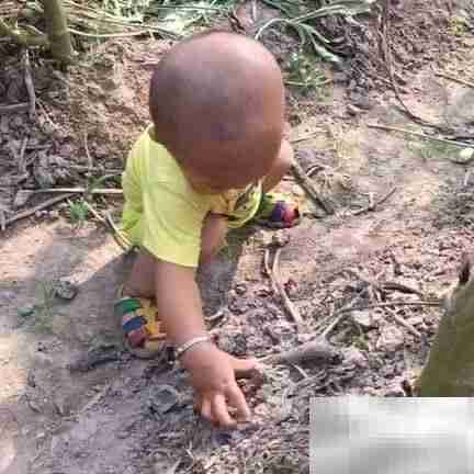 欠发达地区儿童营养教育策略