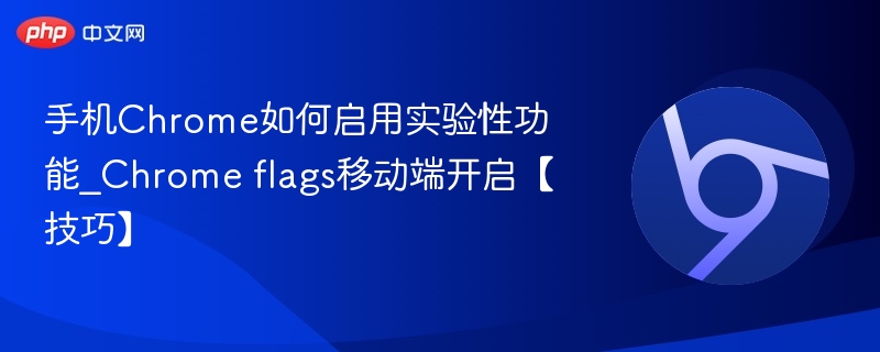手机Chrome开启实验功能技巧