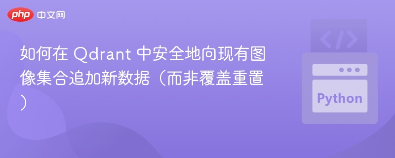 Qdrant 如何安全追加图像数据不覆盖