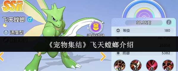 《宠物集结》飞天螳螂介绍