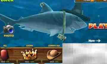 饥饿鲨鱼进化攻略