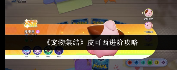 《宠物集结》皮可西进阶攻略