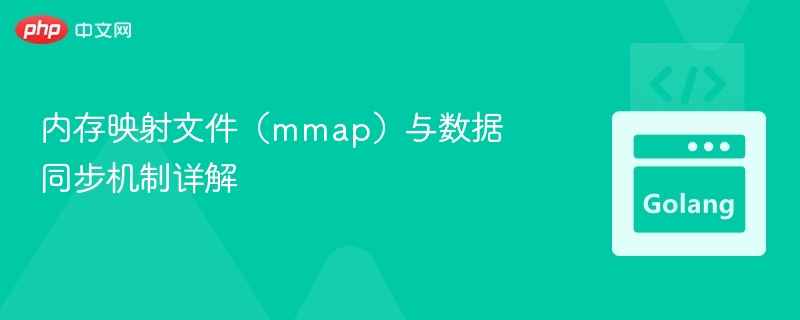 mmap内存映射与数据同步全解析
