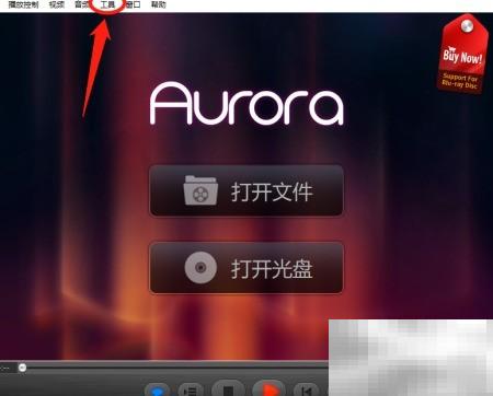 Aurora蓝光文本格式设置详解