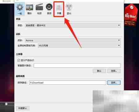 Aurora Blu-ray文本格式设置