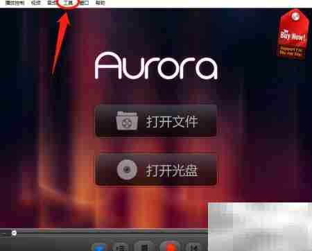 Aurora Blu-ray文本格式设置