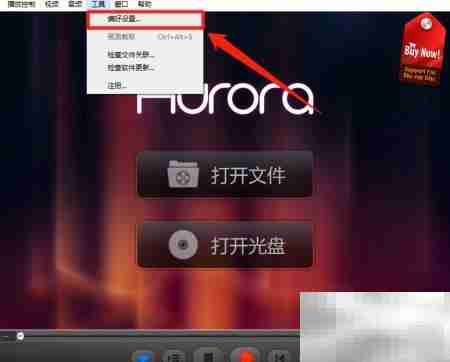 Aurora Blu-ray文本格式设置