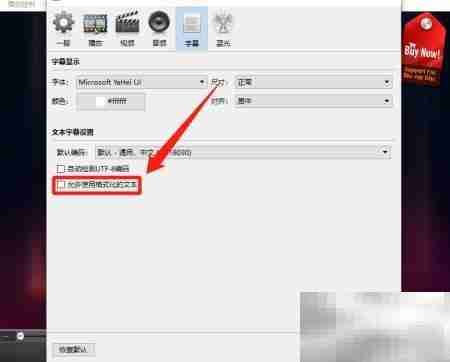 Aurora Blu-ray文本格式设置