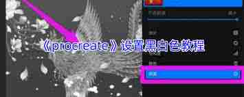 procreate怎么调成黑白色
