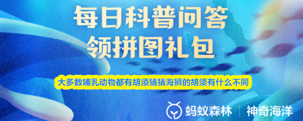 大多数哺乳动物都有胡须猜猜海狮的胡须有什么不同