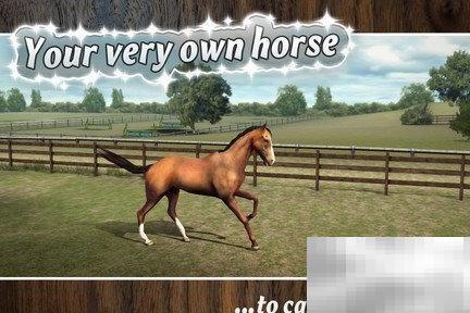 我的马评测：赛马模拟激情体验