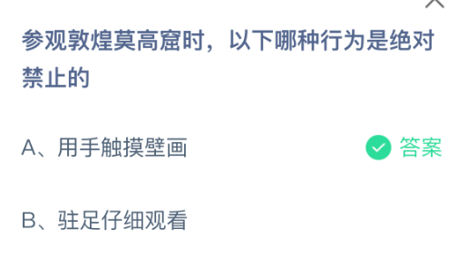 参观敦煌莫高窟时,以下哪种行为是绝对禁止的