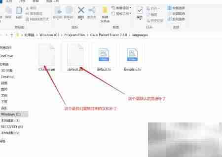 Packet Tracer汉化教程
