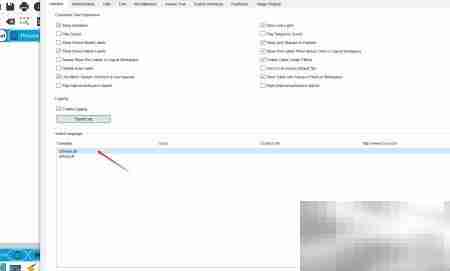 Packet Tracer汉化教程